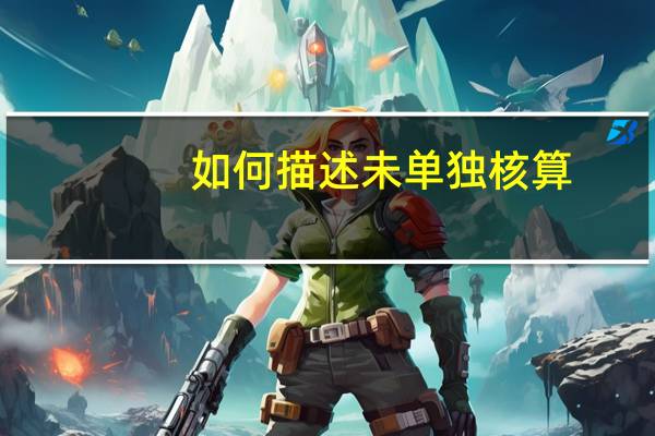 如何描述未单独核算