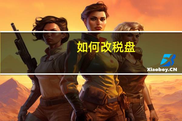 如何改税盘