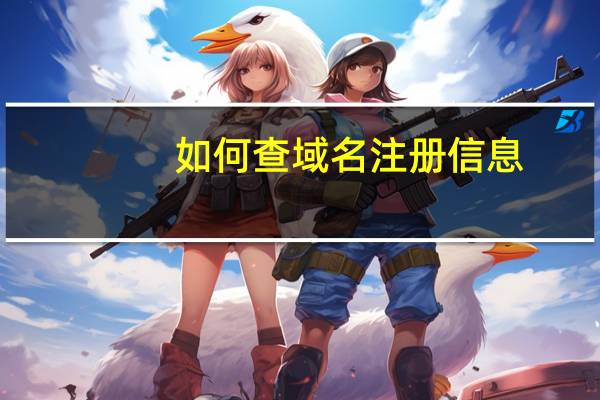 如何查域名注册信息