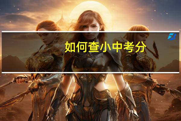 如何查小中考分