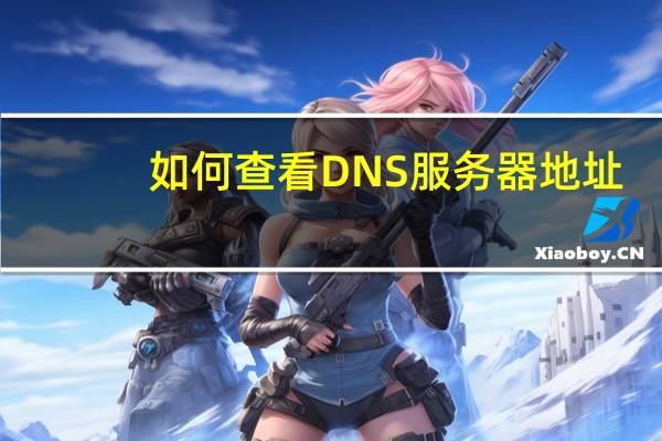 如何查看DNS服务器地址