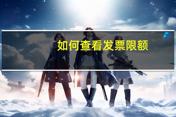 如何 查看 发票限额