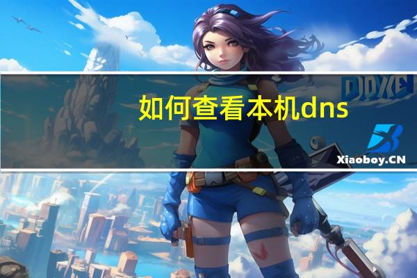 如何查看本机dns