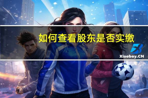 如何查看股东是否实缴