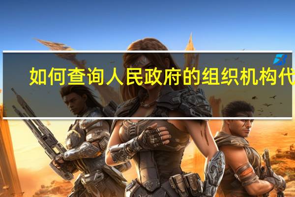 如何查询人民政府的组织机构代码