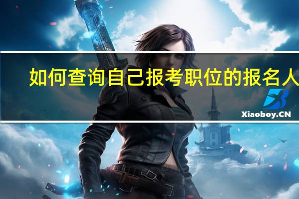 如何查询自己报考职位的报名人数