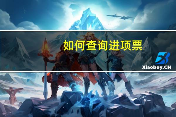 如何查询进项票