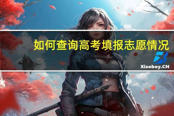 如何查询高考填报志愿情况