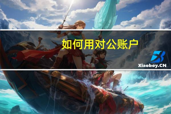 如何用 对公账户