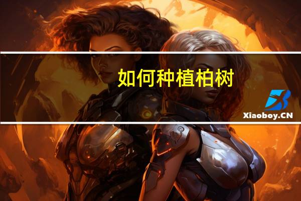如何种植柏树