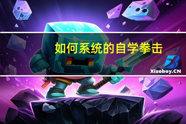 如何系统的自学拳击