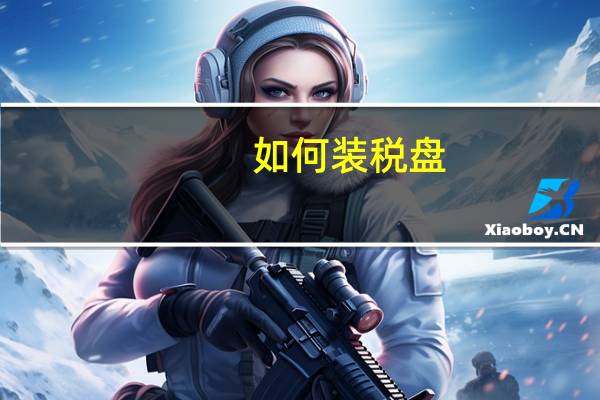 如何装税盘