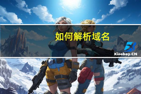 如何解析域名