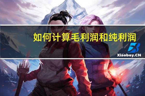 如何计算毛利润和纯利润