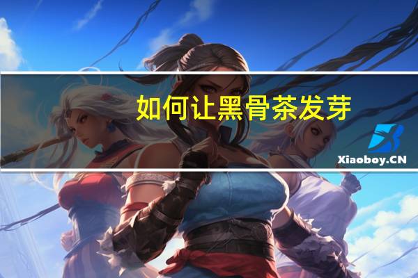 如何让黑骨茶发芽