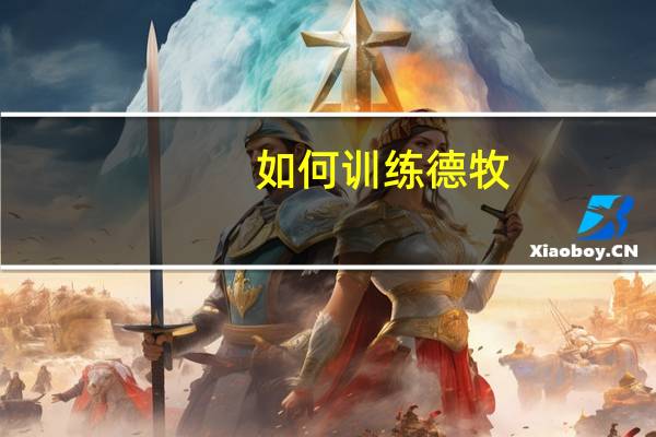 如何训练德牧