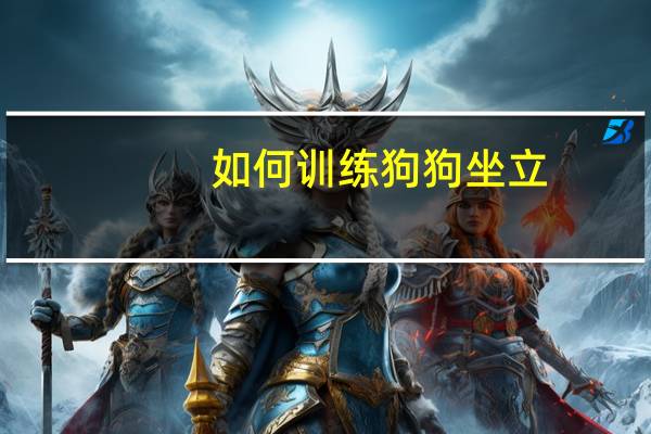 如何训练狗狗坐立