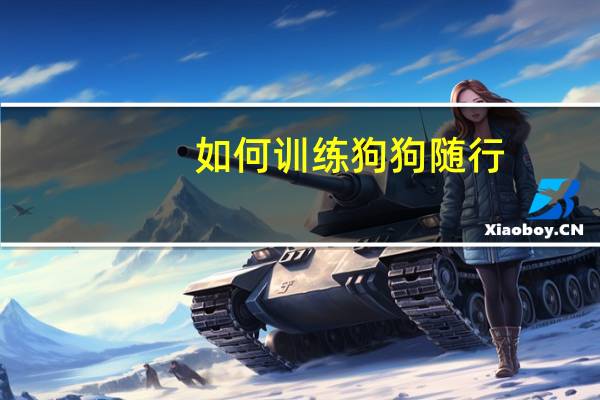 如何训练狗狗随行