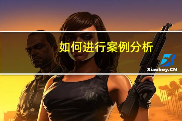 如何进行案例分析