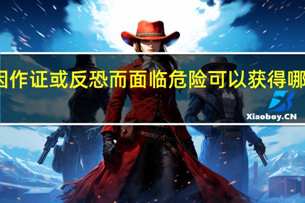 如果因作证或反恐而面临危险可以获得哪些保护措施