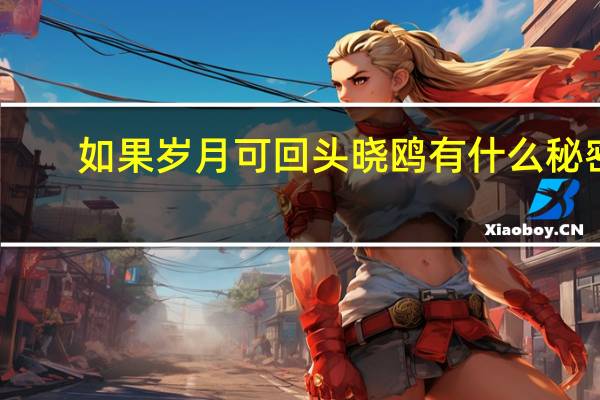 如果岁月可回头晓鸥有什么秘密