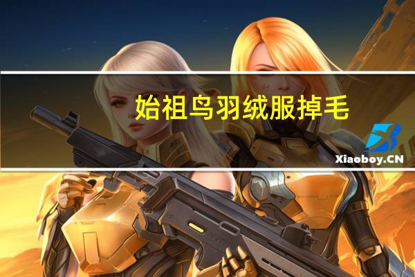 始祖鸟羽绒服掉毛