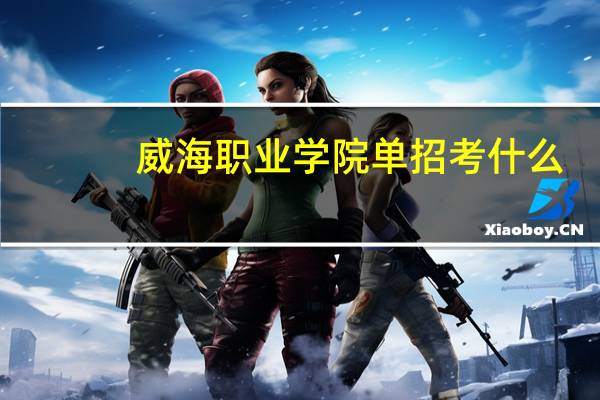 威海职业学院单招考什么