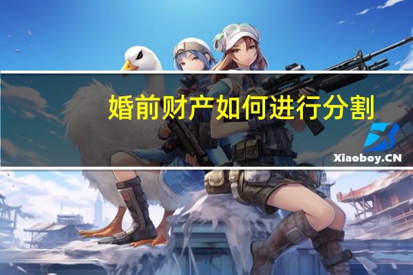 婚前财产如何进行分割