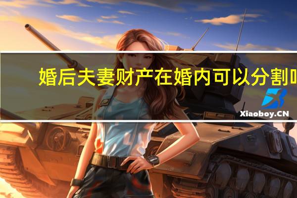 婚后夫妻财产在婚内可以分割吗