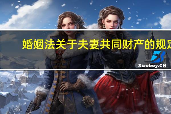 婚姻法关于夫妻共同财产的规定