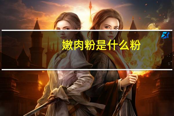 嫩肉粉是什么粉