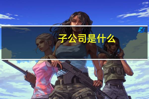 子公司是什么？