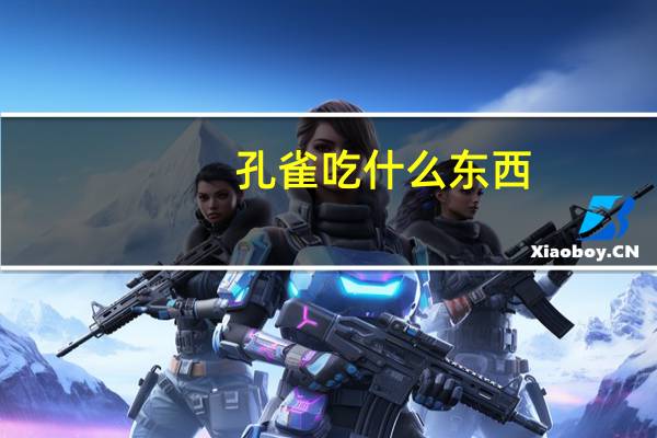 孔雀吃什么东西