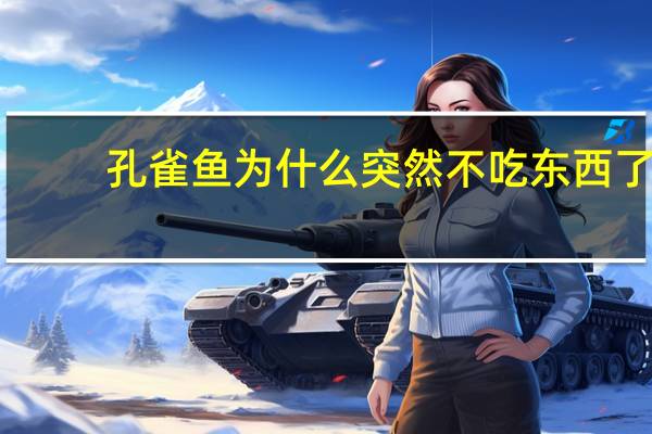 孔雀鱼为什么突然不吃东西了