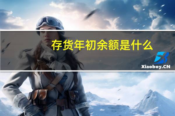 存货年初余额是什么