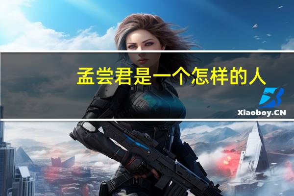 孟尝君是一个怎样的人