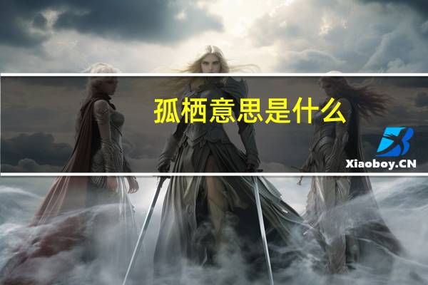 孤栖意思是什么