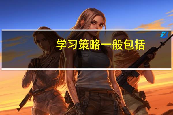 学习策略一般包括