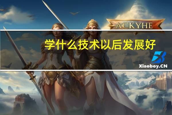 学什么技术以后发展好