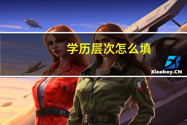 学历层次怎么填?