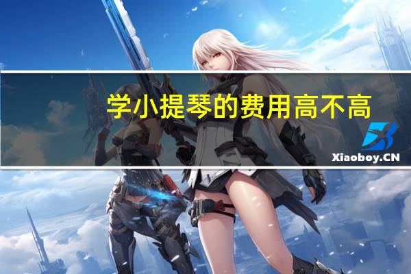 学小提琴的费用高不高