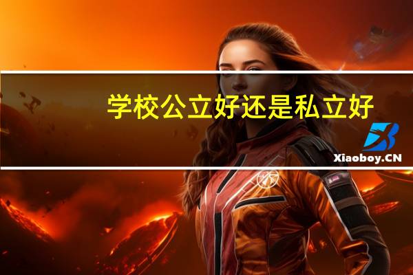 学校公立好还是私立好