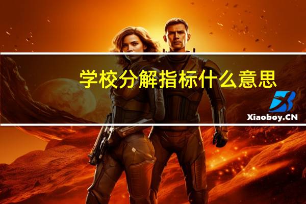 学校分解指标什么意思