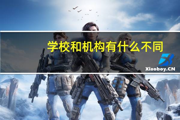 学校和机构有什么不同