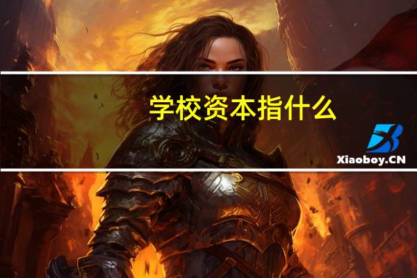 学校资本指什么
