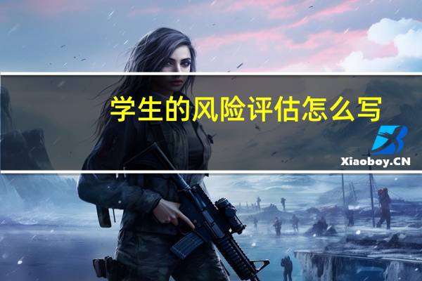 学生的风险评估怎么写