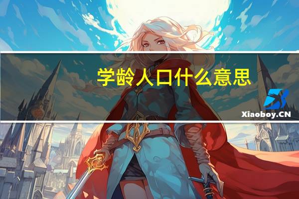 学龄人口什么意思