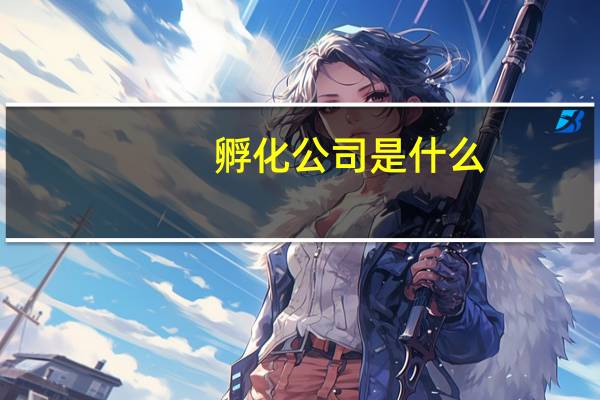 孵化公司是什么