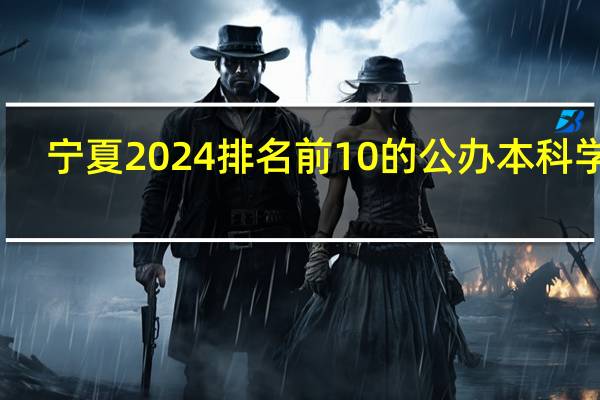 宁夏2024排名前10的公办本科学校