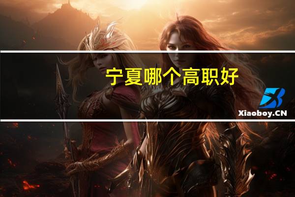 宁夏哪个高职好